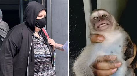 Woman admits role in monkey torture network where animals 